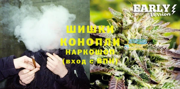 амф Вяземский