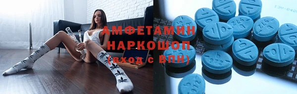 амф Вяземский