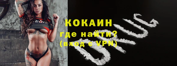 амф Вяземский