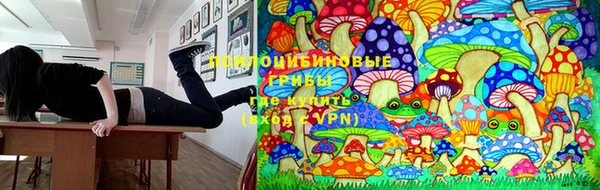 амф Вяземский