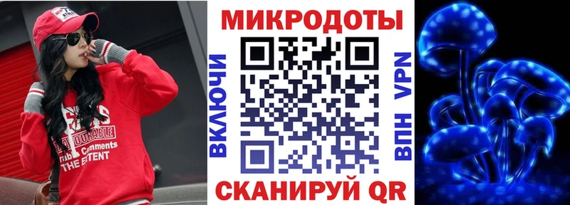 Псилоцибиновые грибы Psilocybine cubensis  Змеиногорск 